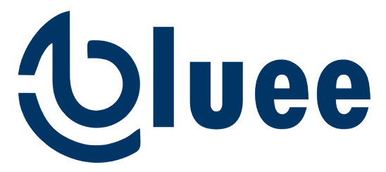 Rui Gomes - Bluee Logo